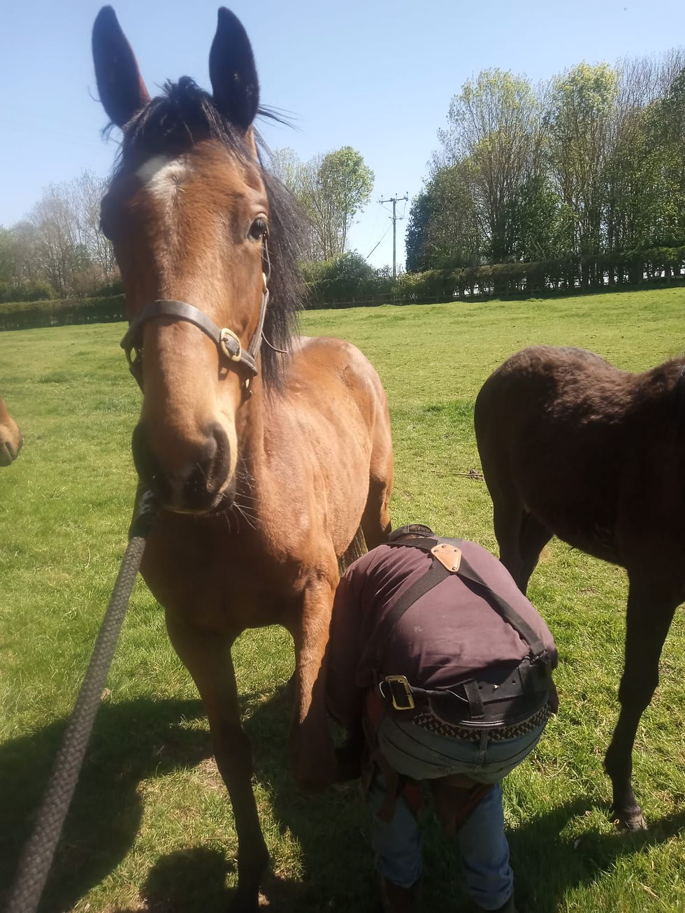 "Emma" & the Farrier
