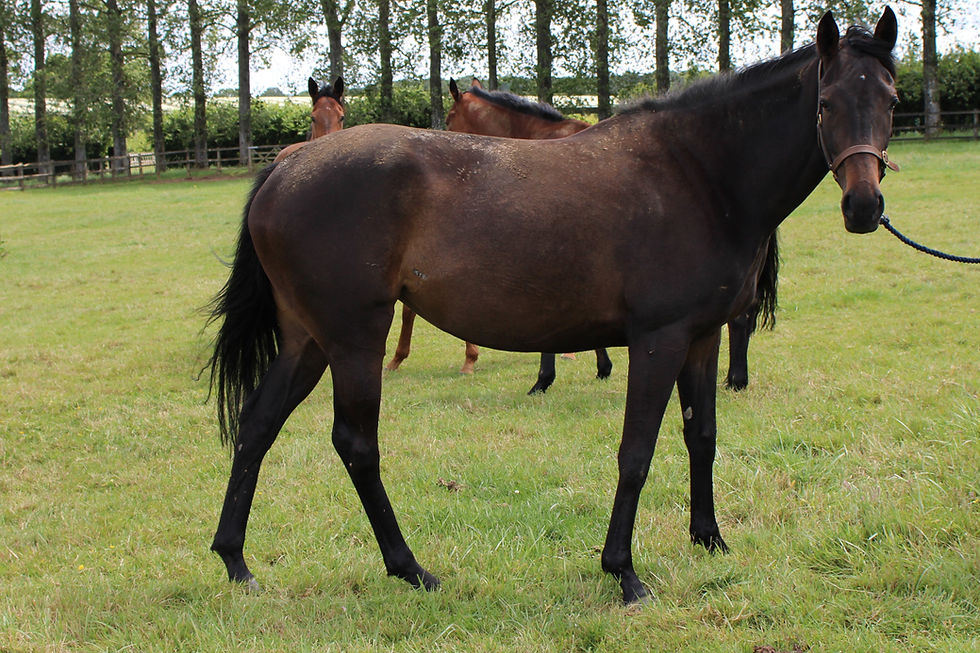 "Ellie" looking in great shape!