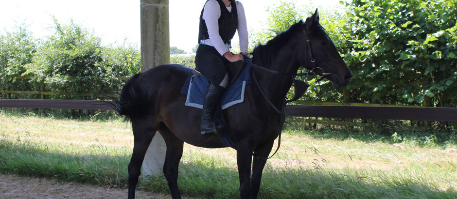 The Esteemed Trainer, Holidays and Capital Shares!