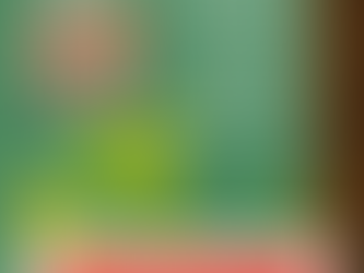 Afternoon Family Constellations