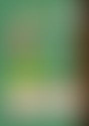 Pomeriggio Costellazioni Familiari - Sesto Fiorentino (FI)