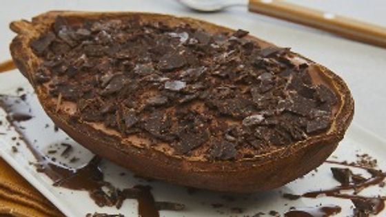 Cabosse de cacao givrée artisanale
