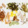 Supplements