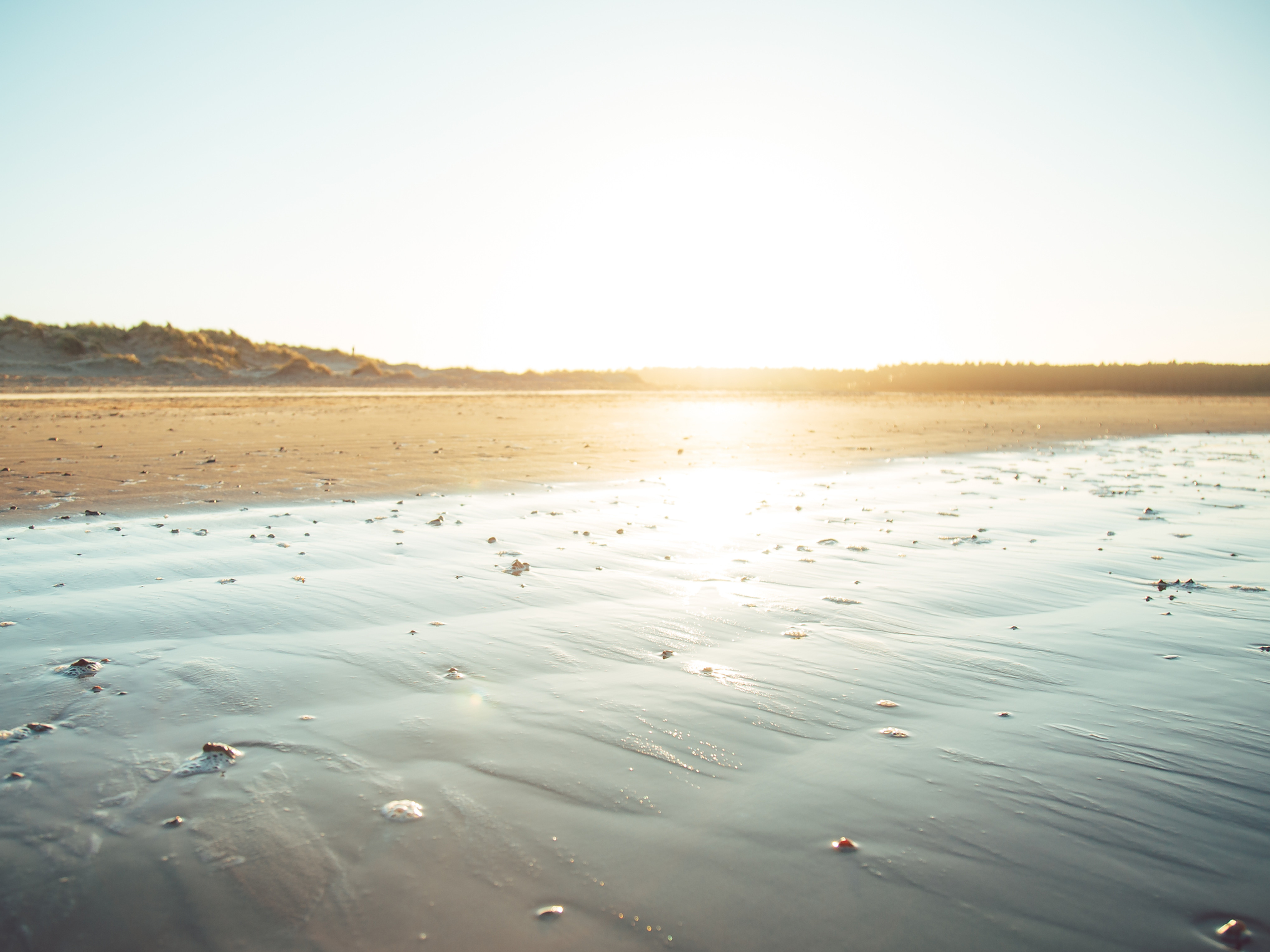 Golden hour