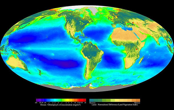 NASA_fotossintese_biosfera.jpg