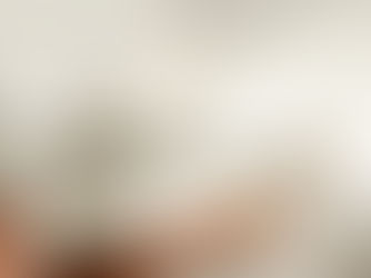 Top Renovations in 2026 That Add the Most Value in New Zealand 