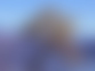 Kill Your Willows Now, & Restore Native Life to Your Waterways