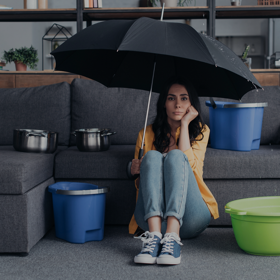 Leaky Home
