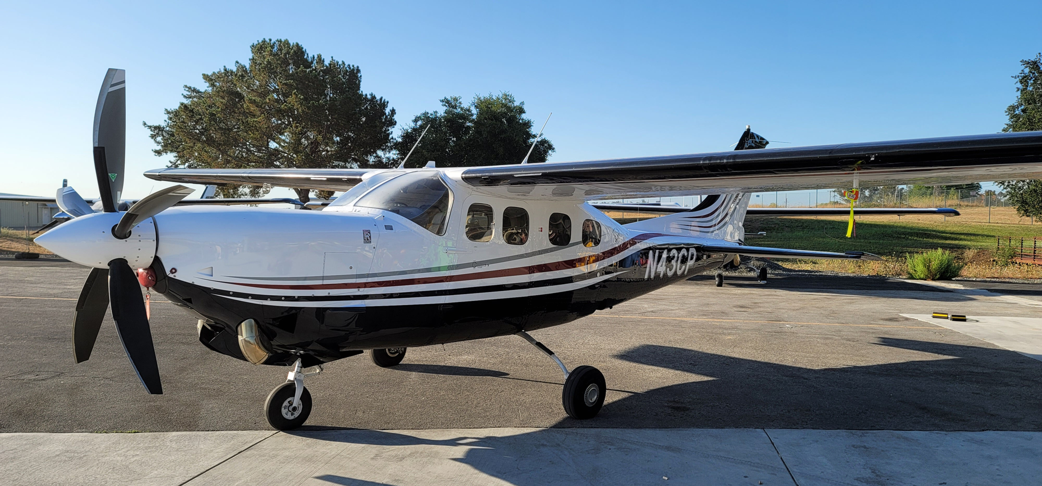 Cessna 1979 Silver Eagle N43CP