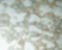 onek 12100798_edited.jpg