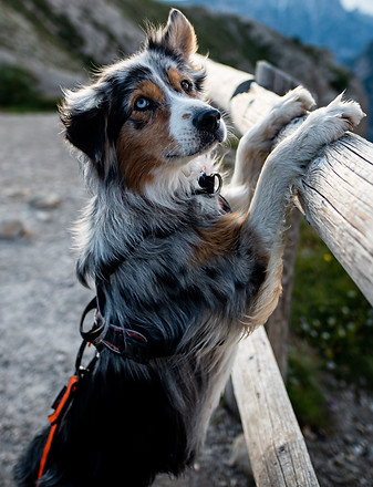 AdobeStock_310482325.jpeg