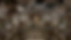 Gemini_Generated_Image_p20hynp20hynp20h.png