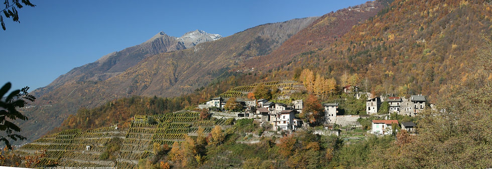Valtellina Superiore DOCG: tradizione, aromi e abbinamenti di un grande rosso lombardo