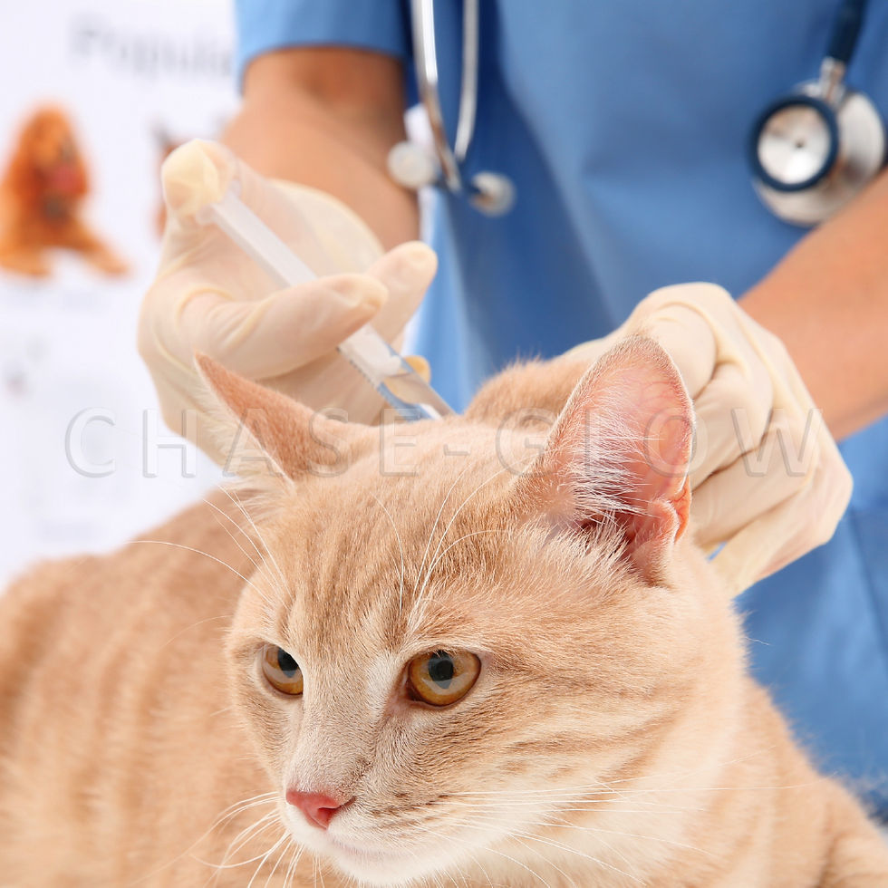 縮圖：採用天然乳膠材質，彈性貼合手部操作靈活，乳膠無粉檢驗手套適用於醫療檢診、電子科技用途，提供舒適與優良觸感的使用體驗。乳膠手套、檢查手套、一次性手套、拋棄式手套、醫療手套