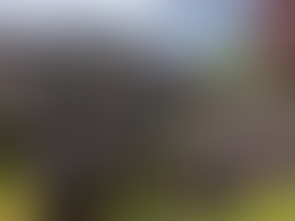 Price Change Alert! Chef's Kitchen Mobile For Sale: 67-951 Homewood Rd, Campbell River BC