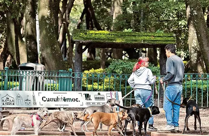 Robo de animales en CDMX aumentó 34% en primer semestre