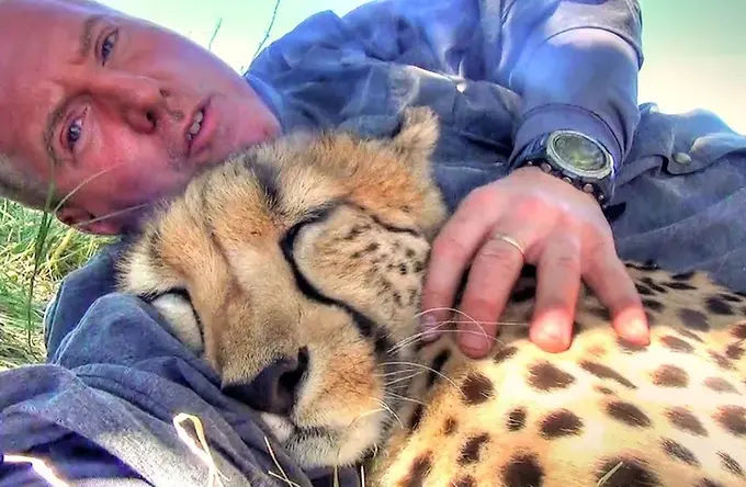 ¡IMPACTANTE! Fotógrafo toma siesta en África y despierta abrazado por un guepardo 