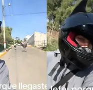 NW MEXICO LAS NOTICIAS DE MANERA DINAMICA Y RAPIDA