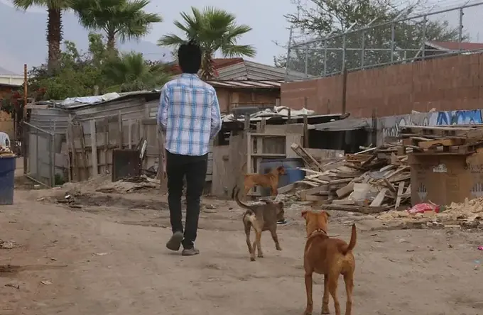 El futuro está casi escrito: pocas familias logran salir de la pobreza extrema