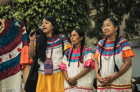 Reabren procesos judiciales contra más de 56 personas de Eloxochitlán de Flores Magón