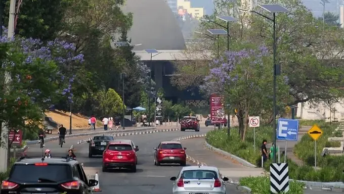 Hoy No Circula 31 de marzo