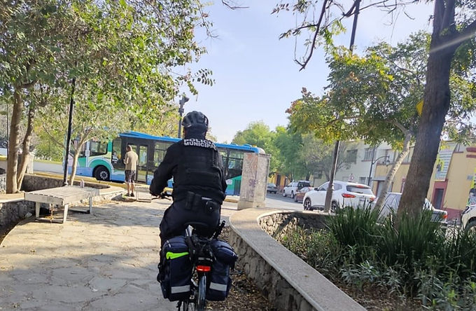 Desobediencia a la autoridad, incivilidad más frecuente