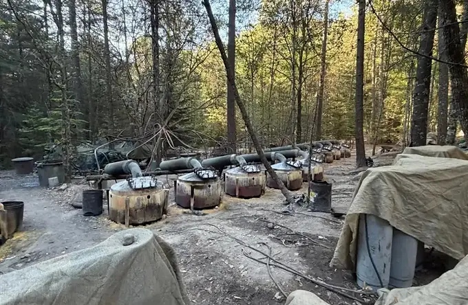 Sheinbaum exige a EU explicación por agentes en Chihuahua