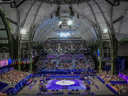 Taekwondo 2024 Paris Olympic Review