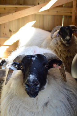 20260412_105531400_iOS