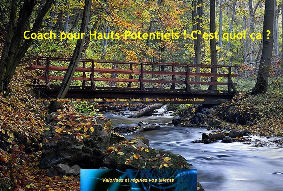Comprendre le Coaching pour Hauts-Potentiels et ses Bénéfices