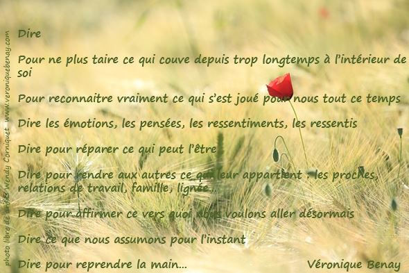 copyright Véronique BENAY, dire et demander : un texte sur ce que cela fait de dire, dans une séance de thérapie, de constellation systémique familiale, en toute sécurité