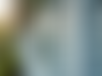 Comprehensive Exterior Cleaning for Your Property