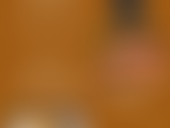 Wednesday's Lunch Menu