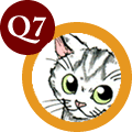 q7.gif