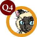 q4.gif