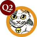 q2.gif