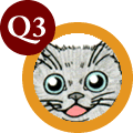 q3.gif