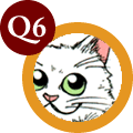 q6.gif