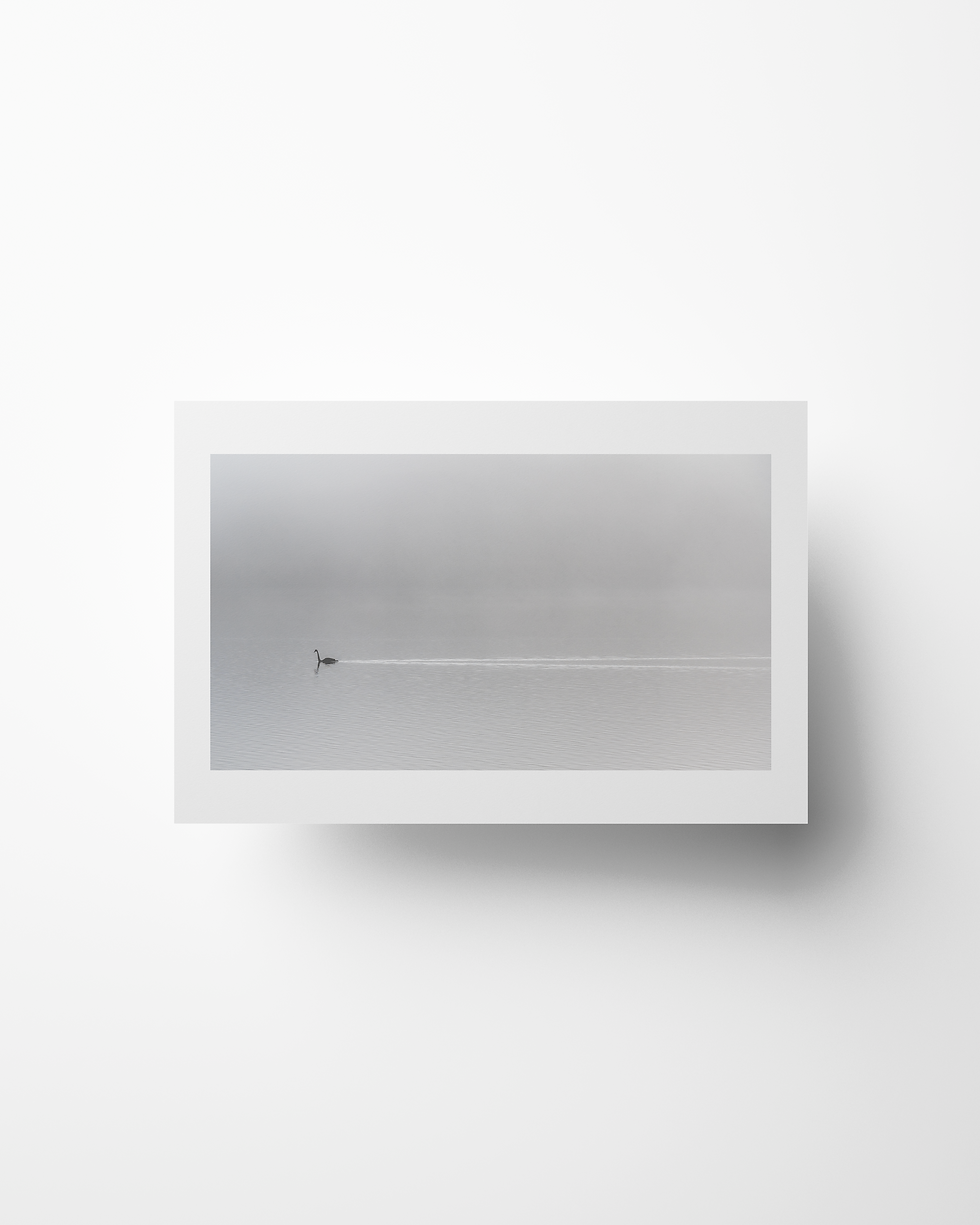 Thumbnail: Swan Lake