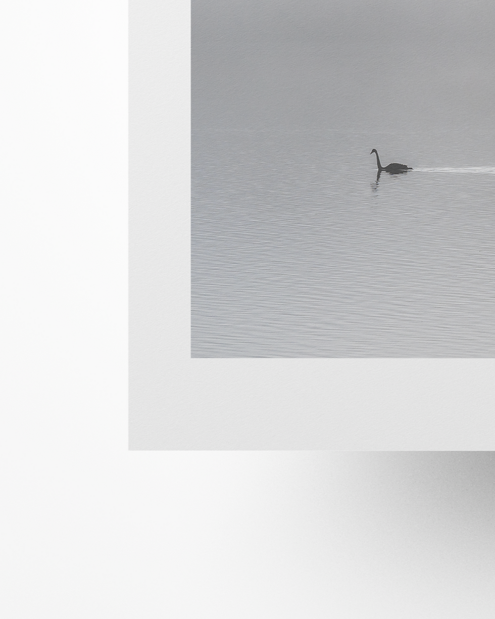 Thumbnail: Swan Lake