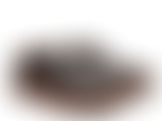 Montreal of Docksteps.