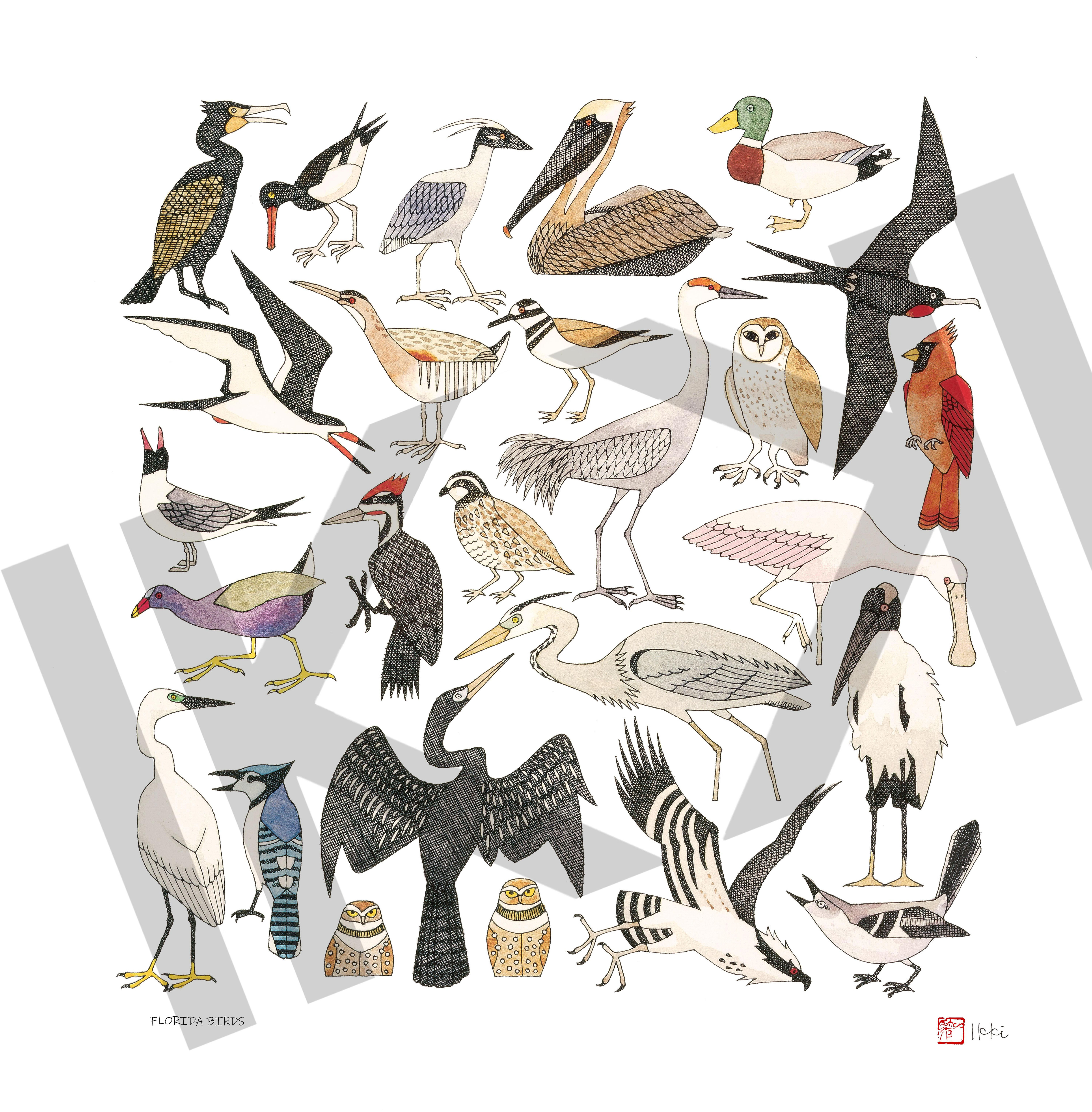Florida Birds by Ikki Matsumoto, Giclee Print