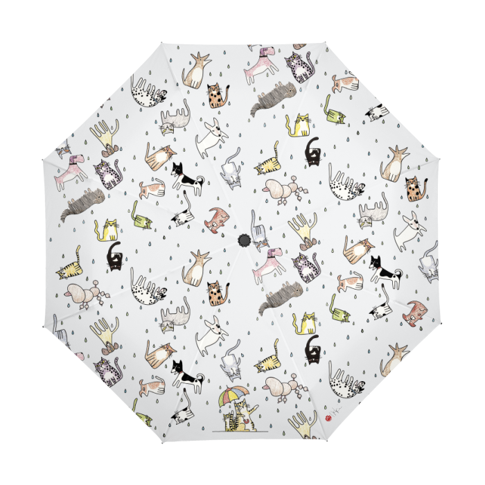Thumbnail: It's Raining... By Ikki Matsumoto Automatic Umbrella