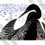 Thumbnail: Preening Anhinga by Ikki Matsumoto, Giclee Print