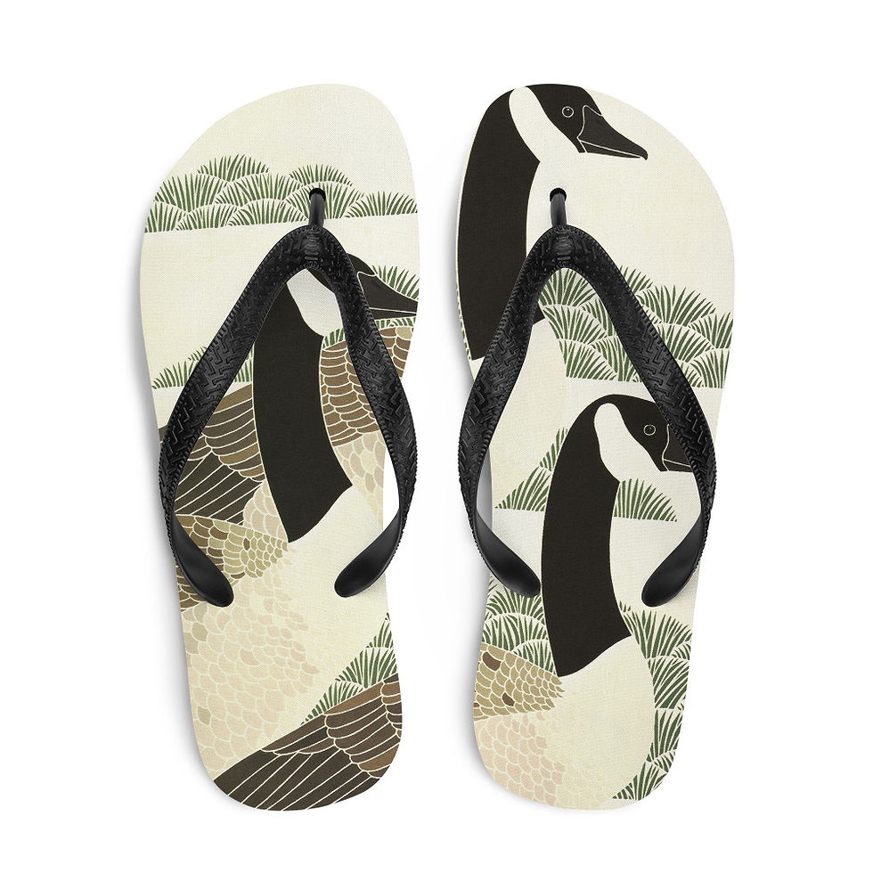 Thumbnail: Canada Geese Flip-Flops