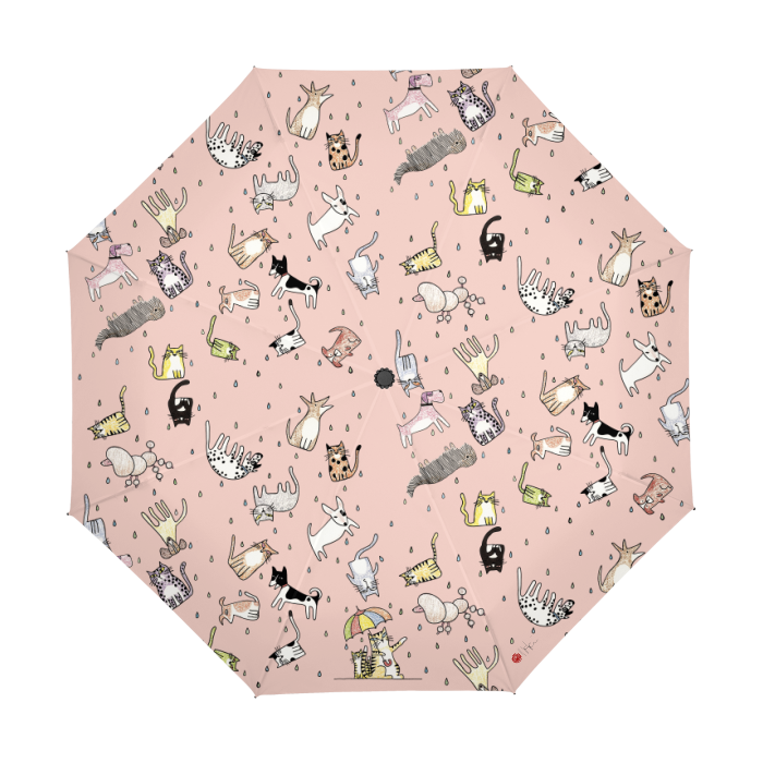 Thumbnail: It's Raining... By Ikki Matsumoto Automatic Umbrella