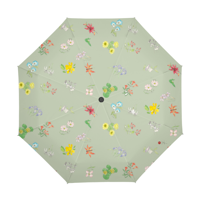 Thumbnail: Florida Wild Flowers by Ikki Matsumoto Automatic Umbrella