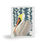 Thumbnail: Pelican by Ikki Matsumoto Cards - 8, 16, or 24 Pieces