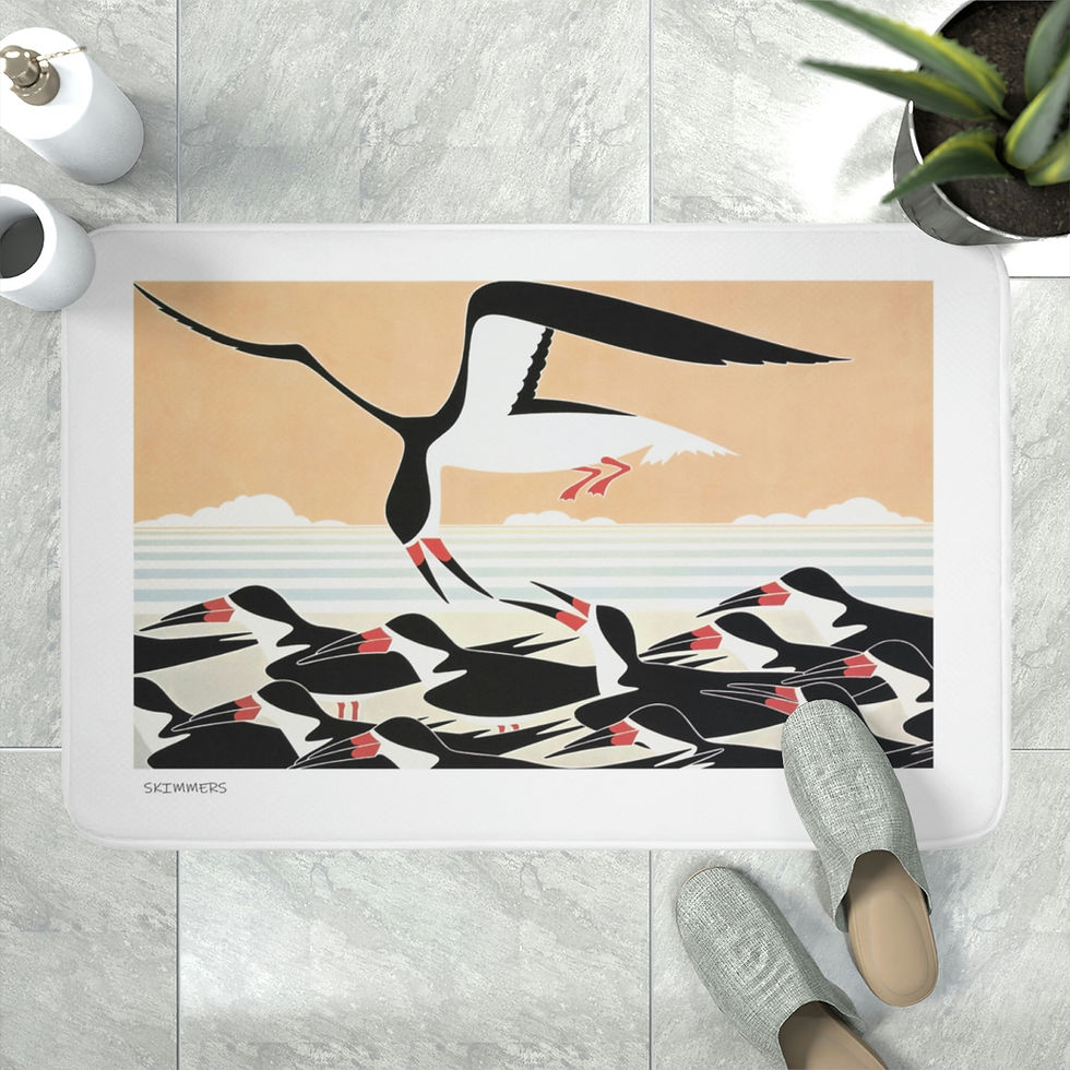 Thumbnail: Skimmers by Ikki Matsumoto Memory Foam Bath Mat
