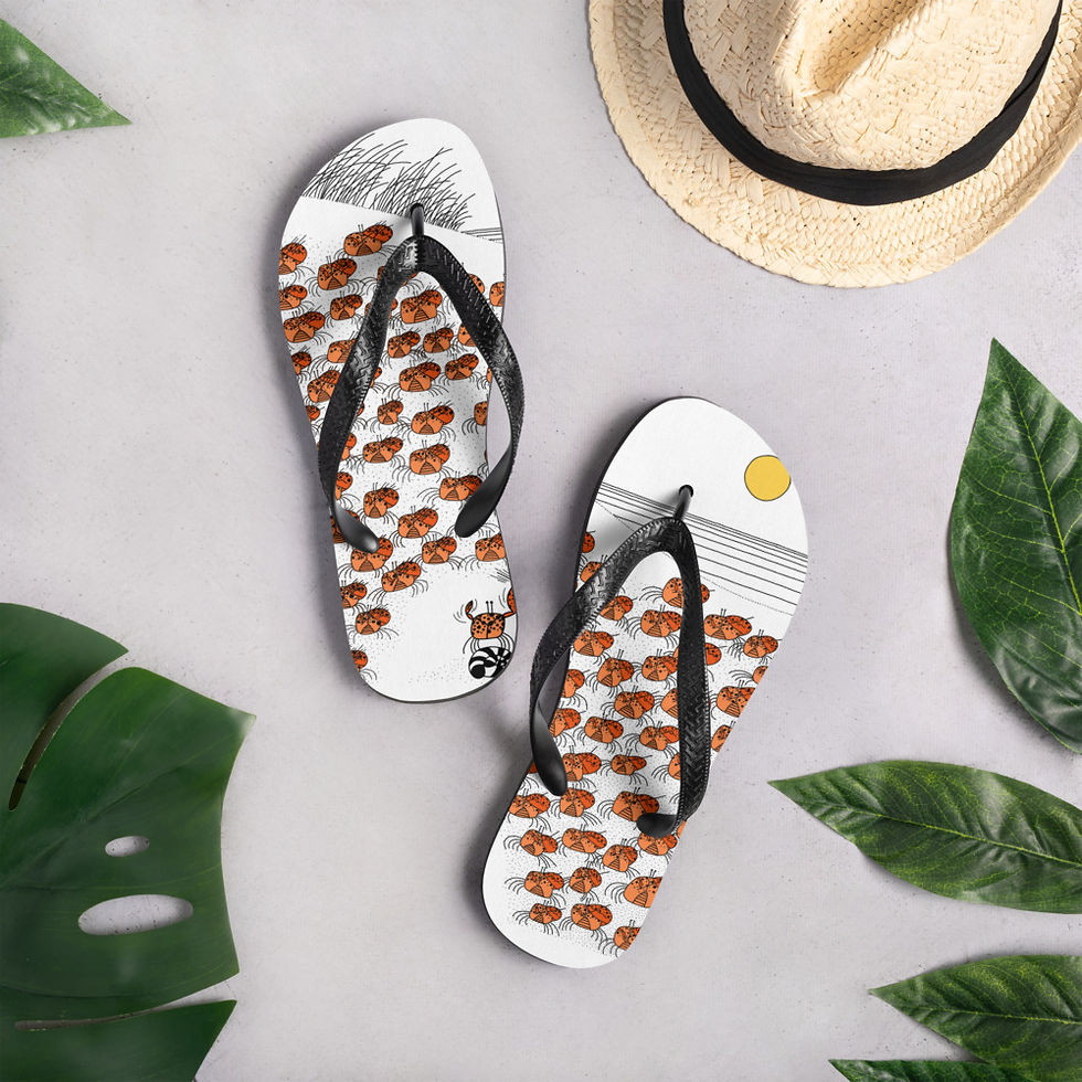 Thumbnail: Arthur Fiddler & The Beach Pops Flip-Flops